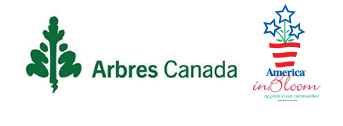 Arbres Canada et America in Bloom